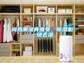 行業(yè)新聞悶熱潮濕真難受，除濕機(jī)一鍵去濕
