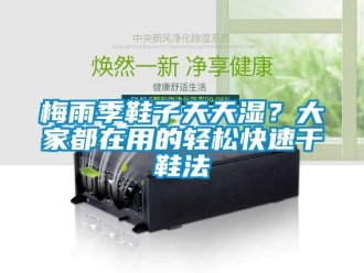 行業(yè)新聞梅雨季鞋子天天濕？大家都在用的輕松快速干鞋法