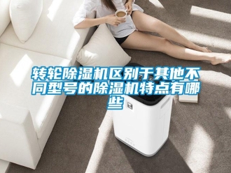 知識百科轉(zhuǎn)輪除濕機(jī)區(qū)別于其他不同型號的除濕機(jī)特點有哪些