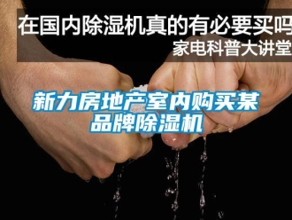 知識(shí)百科新力房地產(chǎn)室內(nèi)購(gòu)買(mǎi)某品牌除濕機(jī)