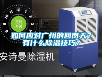 常見(jiàn)問(wèn)題如何應(yīng)對(duì)廣州的回南天？有什么除濕技巧？