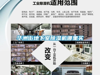 行業(yè)新聞華洲街地下室除濕機哪里買