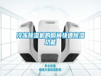 行業(yè)新聞冷凍除濕機的瞬間快速除濕功能