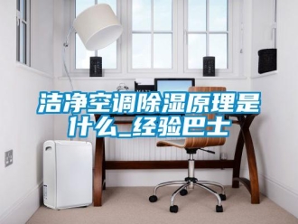 行業(yè)新聞潔凈空調(diào)除濕原理是什么_經(jīng)驗(yàn)巴士