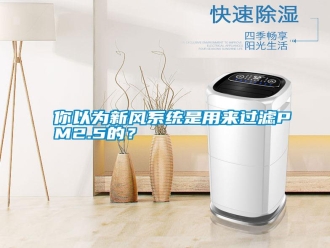 行業(yè)新聞你以為新風(fēng)系統(tǒng)是用來過濾PM2.5的？