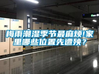 行業(yè)新聞梅雨潮濕季節(jié)最麻煩!家里哪些位置先遭殃？