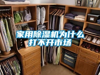 行業(yè)新聞家用除濕機(jī)為什么打不開市場