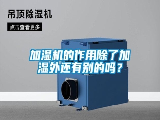 常見問題加濕機的作用除了加濕外還有別的嗎？