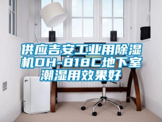 常見問題供應(yīng)吉安工業(yè)用除濕機DH-818C地下室潮濕用效果好