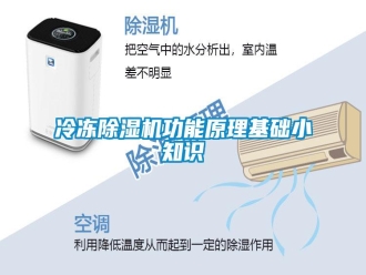 行業(yè)新聞冷凍除濕機(jī)功能原理基礎(chǔ)小知識(shí)