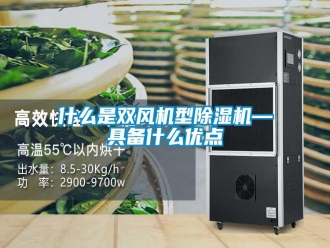 知識(shí)百科什么是雙風(fēng)機(jī)型除濕機(jī)—具備什么優(yōu)點(diǎn)