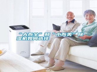 常見(jiàn)問(wèn)題“大而全”和“小而美”除濕機(jī)如何選擇