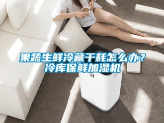 常見(jiàn)問(wèn)題果蔬生鮮冷藏干耗怎么辦？冷庫(kù)保鮮加濕機(jī)