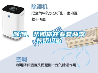 常見問題除濕，幫助你在春夏兩季預防過敏