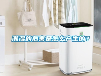 常見(jiàn)問(wèn)題潮濕的危害是怎么產(chǎn)生的？