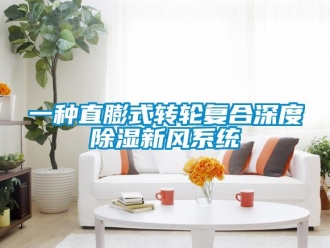 行業(yè)新聞一種直膨式轉(zhuǎn)輪復(fù)合深度除濕新風(fēng)系統(tǒng)