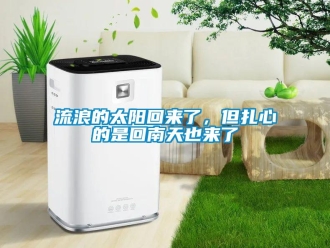 行業(yè)新聞流浪的太陽回來了，但扎心的是回南天也來了
