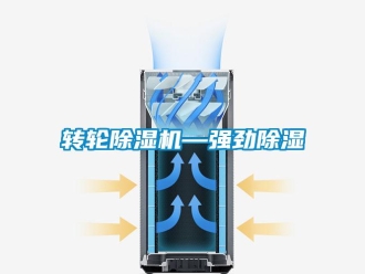 知識百科轉(zhuǎn)輪除濕機(jī)—強(qiáng)勁除濕