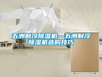 行業(yè)新聞五洲制冷除濕機(jī)—五洲制冷除濕機(jī)選購技巧