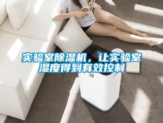 知識(shí)百科實(shí)驗(yàn)室除濕機(jī)，讓實(shí)驗(yàn)室濕度得到有效控制