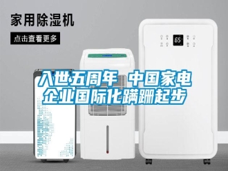 行業(yè)新聞入世五周年 中國家電企業(yè)國際化蹣跚起步