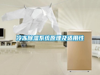 行業(yè)新聞冷凍除濕系統(tǒng)原理及適用性