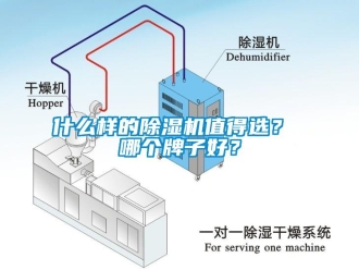 行業(yè)新聞什么樣的除濕機值得選？ 哪個牌子好？