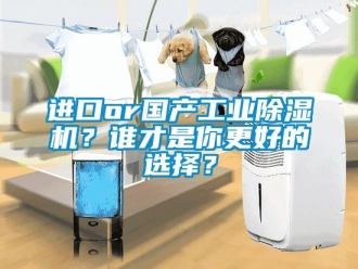 行業(yè)新聞進(jìn)口or國產(chǎn)工業(yè)除濕機(jī)？誰才是你更好的選擇？