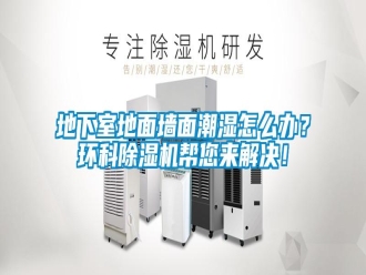常見(jiàn)問(wèn)題地下室地面墻面潮濕怎么辦？環(huán)科除濕機(jī)幫您來(lái)解決！