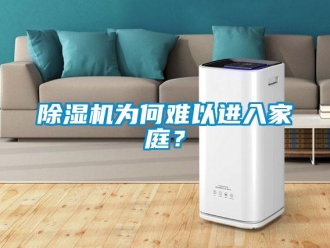 企業(yè)新聞除濕機為何難以進入家庭？