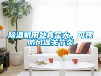 企業(yè)新聞除濕機(jī)用處真是大，可預(yù)防風(fēng)濕關(guān)節(jié)炎