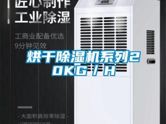 行業(yè)新聞烘干除濕機系列20KG／H