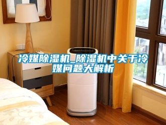 行業(yè)新聞冷媒除濕機_除濕機中關(guān)于冷媒問題大解析