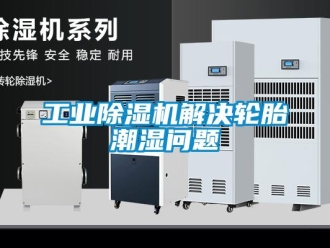 常見問(wèn)題工業(yè)除濕機(jī)解決輪胎潮濕問(wèn)題