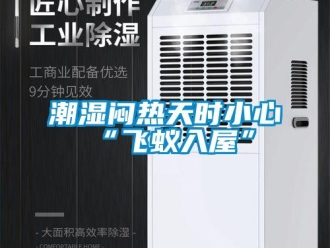 企業(yè)新聞潮濕悶熱天時小心“飛蟻入屋”
