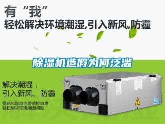 企業(yè)新聞除濕機(jī)造假為何泛濫