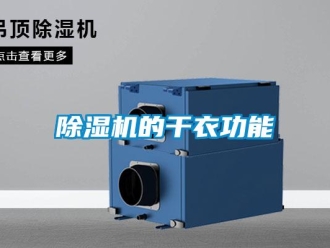 企業(yè)新聞除濕機(jī)的干衣功能