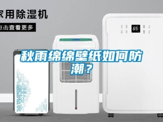 常見問題秋雨綿綿壁紙如何防潮？