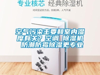 行業(yè)新聞空氣污染主要和室內(nèi)濕度有關(guān)？空調(diào)≠除濕機(jī) 防潮防霉除濕更專業(yè)