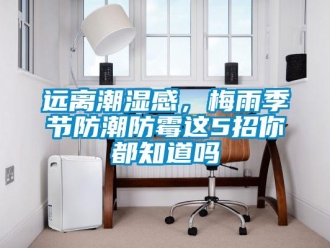 常見問題遠離潮濕感，梅雨季節(jié)防潮防霉這5招你都知道嗎