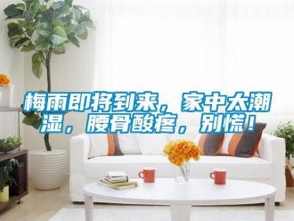 行業(yè)新聞梅雨即將到來，家中太潮濕，腰骨酸疼，別慌！