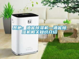 行業(yè)新聞其他：酒窖除濕機(jī)—酒窖除濕機(jī)相關(guān)知識(shí)介紹
