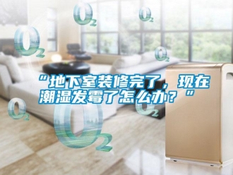 企業(yè)新聞“地下室裝修完了，現(xiàn)在潮濕發(fā)霉了怎么辦？”