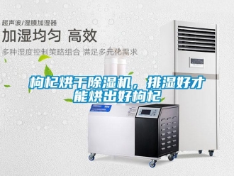 企業(yè)新聞枸杞烘干除濕機，排濕好才能烘出好枸杞