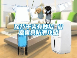 常見問題保持干爽有妙招 浴室家具防潮攻略
