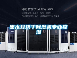 行業(yè)新聞黑木耳烘干除濕機(jī)專(zhuān)業(yè)控濕