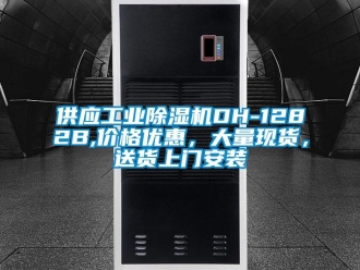 常見問題供應(yīng)工業(yè)除濕機DH-1282B,價格優(yōu)惠，大量現(xiàn)貨，送貨上門安裝