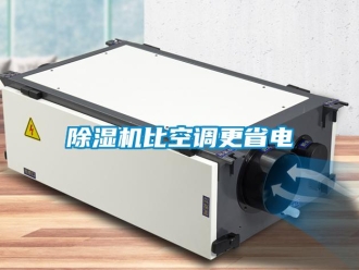 常見問題除濕機(jī)比空調(diào)更省電