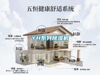 企業(yè)新聞YH系列除濕機