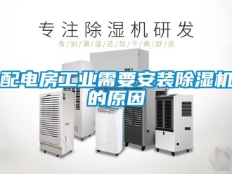 行業(yè)新聞配電房工業(yè)需要安裝除濕機的原因